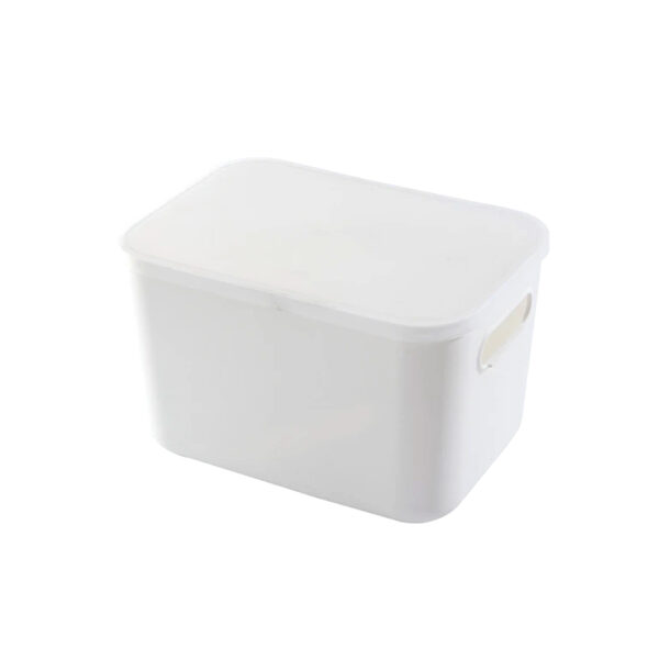 Plastic-Storage-Container