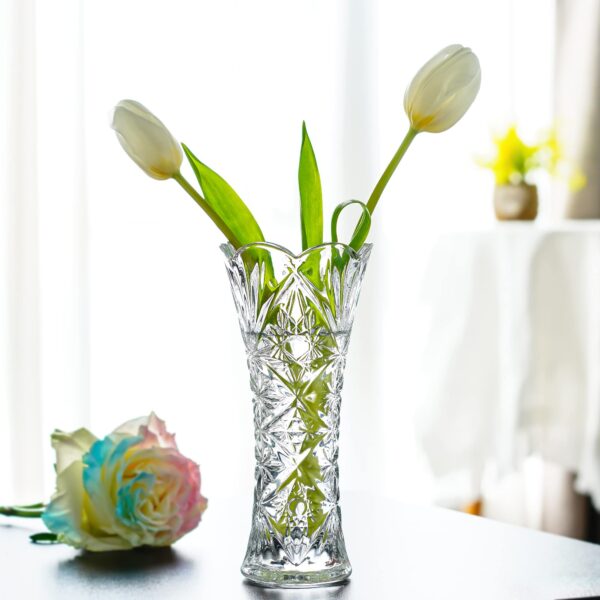 Glass Vase 23.5cm HP002