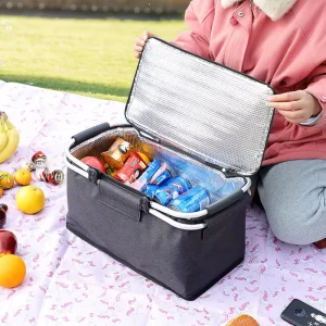 picnic bag