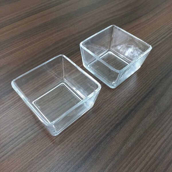 2-Piece Clear Square Chutney/Sauce Bowl Set