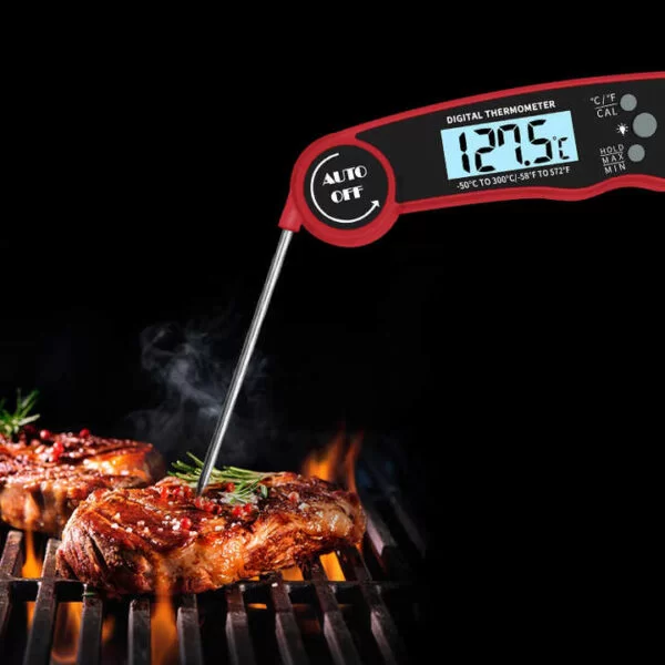 Digital Food Thermometer