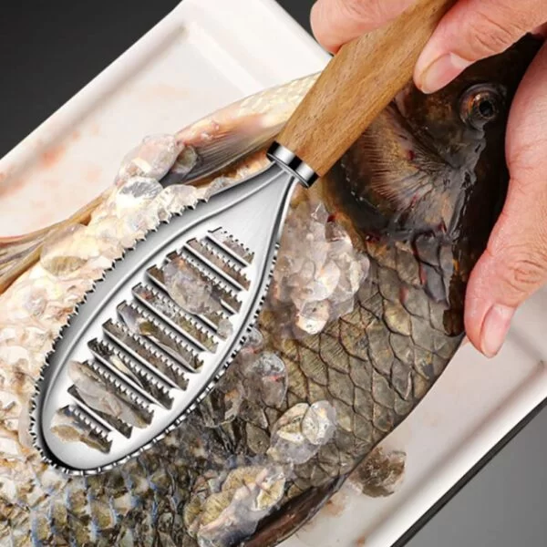 S/Steel Fish Scaler