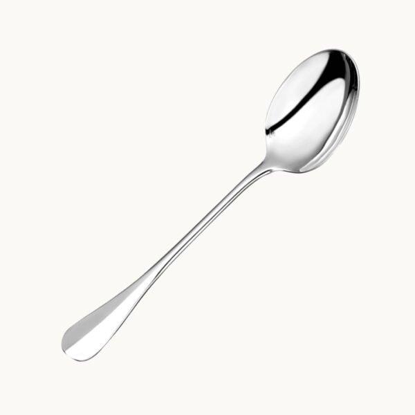 S/Steel Serving Spoon